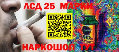 мяу мяу мука Аргун