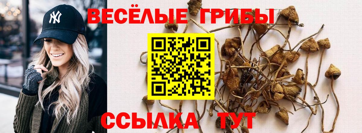Меф  Канабис  Белая Калитва  Гашиш  Вход с VPN 