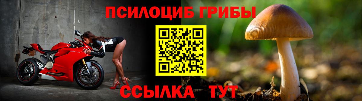 Галлюциногенные грибы GOLDEN TEACHER Белая Калитва